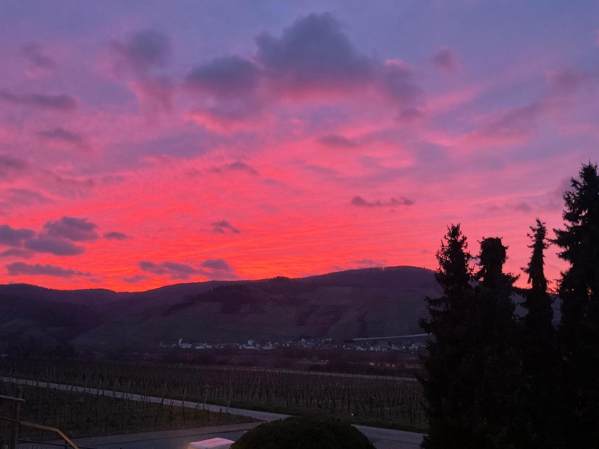 Hotel Weingut Bastian Brauneberg Esterno foto